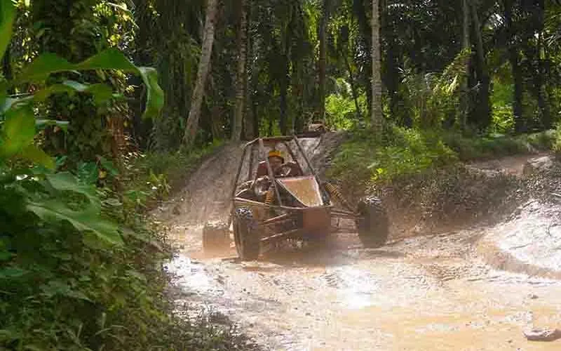 ubud jungle buggy tour ubud jungle buggy tour